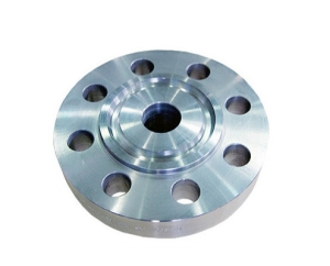 Custom CNC Machined Ring Type Joint Flange