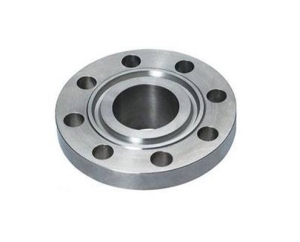 Ring Type Joint Flange