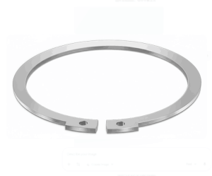 Piston Pin Retainers