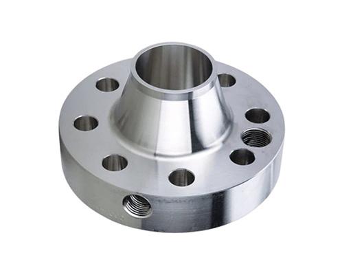 Customized Stainless Steel Flanges